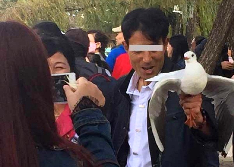 ‘Uncivilized’ Tourist Smashes Seagulls Wings After Security Catches Him