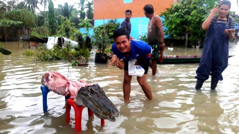 Thai Man Apologizes for Viral Photo of Eaten Crocodile, Says It Was Farm-Raised