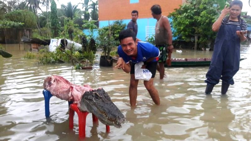 Thai Man Apologizes for Viral Photo of Eaten Crocodile, Says It Was Farm-Raised