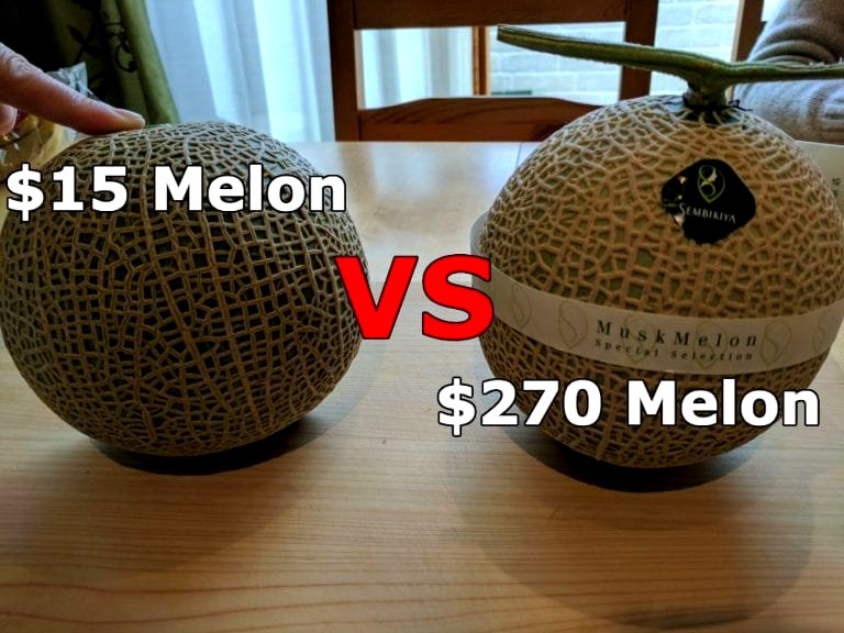 $15 Melon vs. $270 Japanese Melon Taste Test