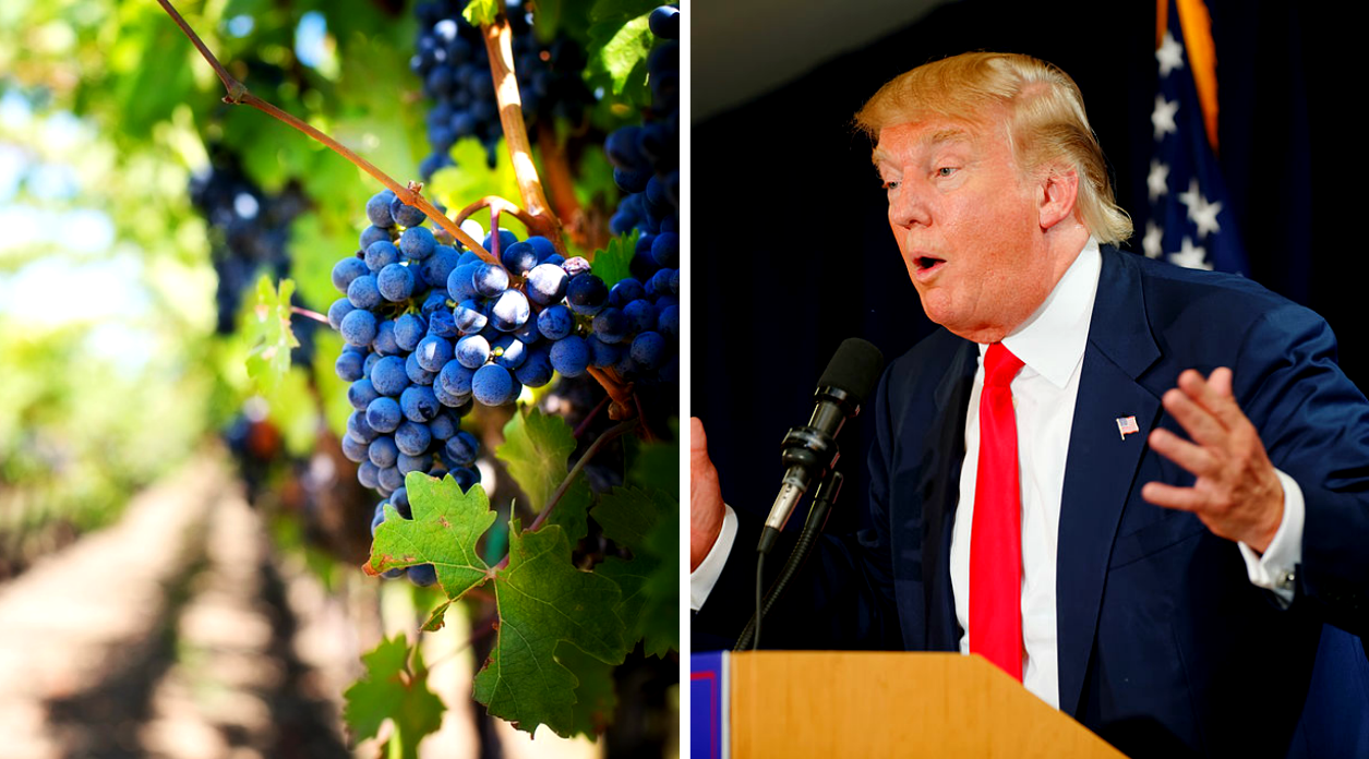 Trump Says ‘Hire American’, Trump Vineyard Requests More Foreign Worker Visas
