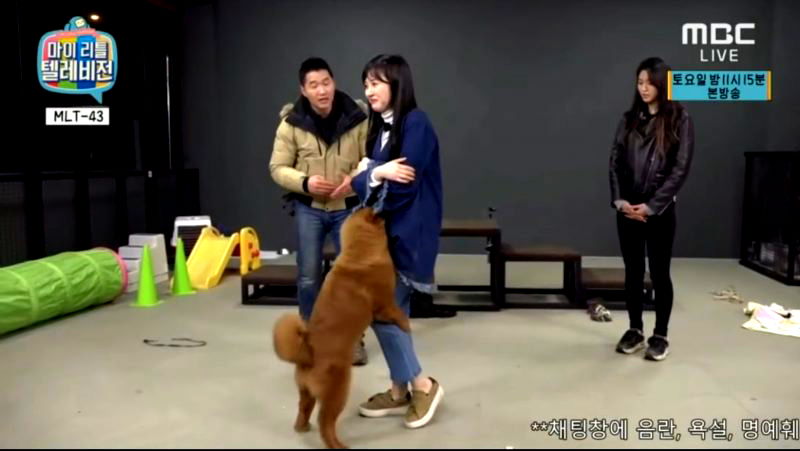 K-Pop Star Mercilessly Humped By Dog While Owner Does Nothing