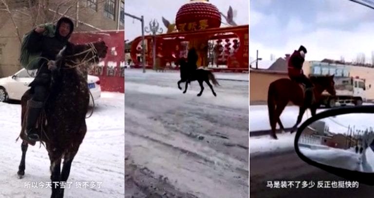 Mongolian Courier Delivers Packages on Horse During Snowstorm Because He’s a Badass