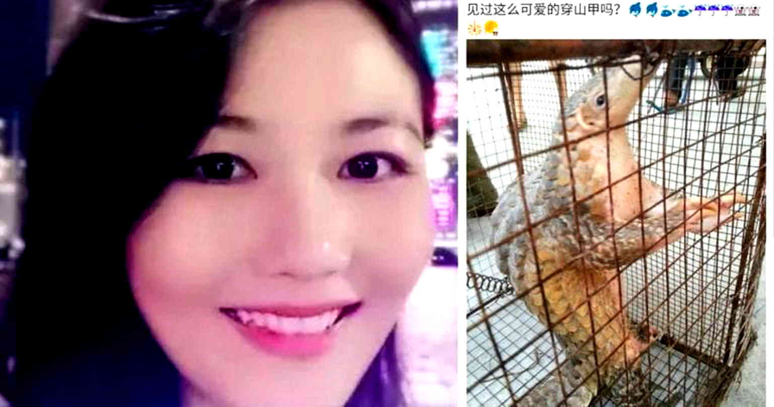 China Arrests ‘Pangolin Princess’ Who Loves Eating Endangered Animals