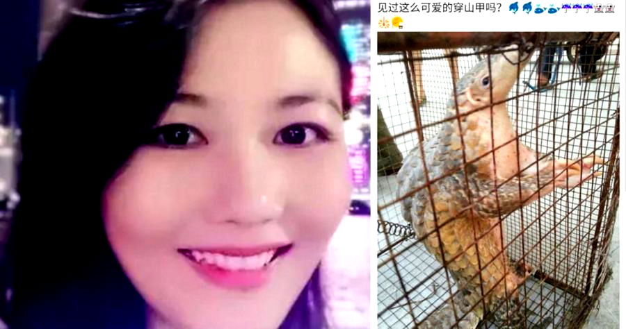 China Arrests ‘Pangolin Princess’ Who Loves Eating Endangered Animals