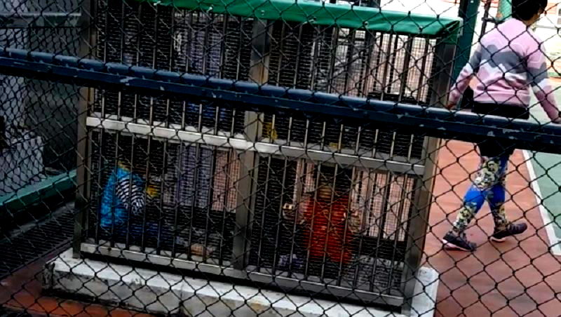 Hong Kong Woman Cages Two Toddlers in Tiny Lockers While She Goes Jogging