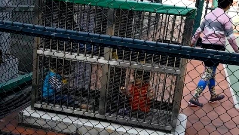 Hong Kong Woman Cages Two Toddlers in Tiny Lockers While She Goes Jogging