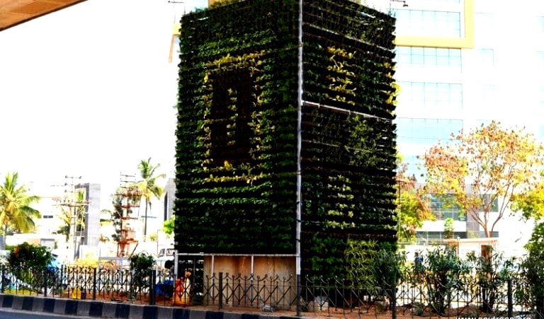 India’s Silicon Valley is Installing Vertical Gardens Everywhere
