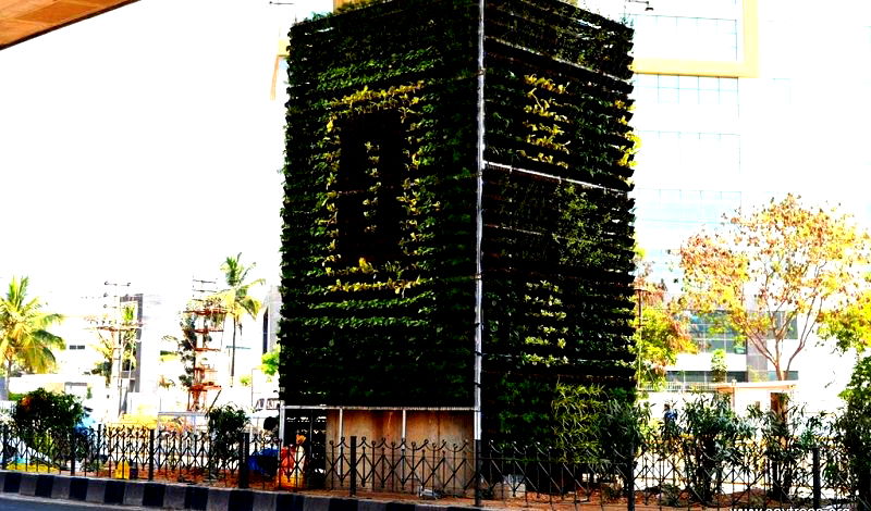 India’s Silicon Valley is Installing Vertical Gardens Everywhere