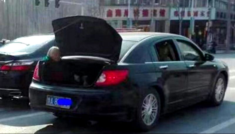 Son Roasted on Internet After Letting His Elderly Mom Travel in His Trunk