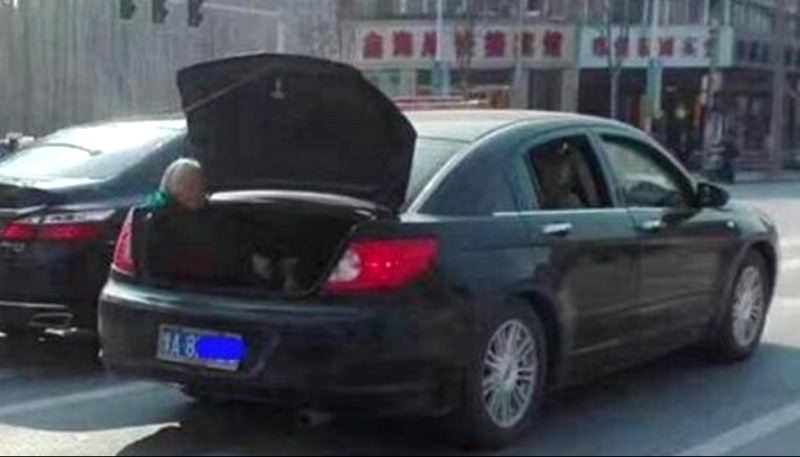 Son Roasted on Internet After Letting His Elderly Mom Travel in His Trunk