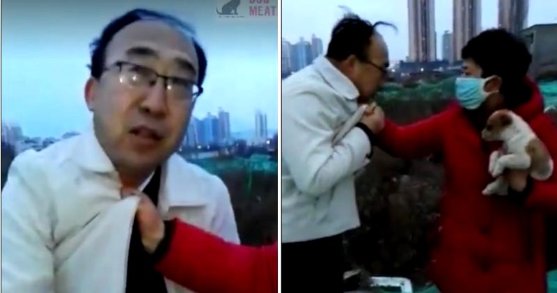 Badass Chinese Woman Punches Man in the Face for Attempting to Kill Puppy