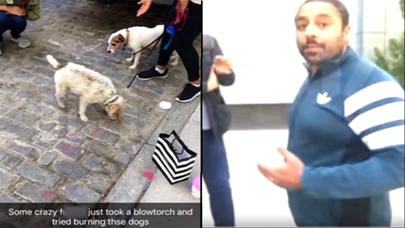 Indian Billionaire Who Set Dogs on Fire Gets Punished With 5 Days of Community Service