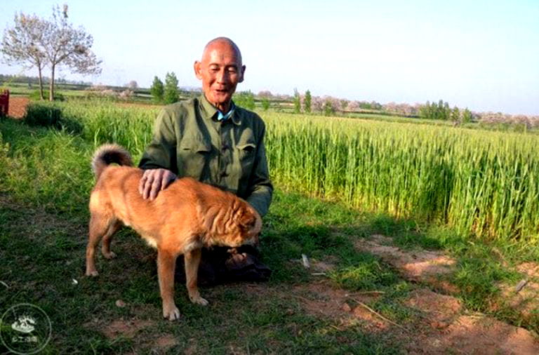 Elderly Farmer Provides For His Family for 40 Years Without Having Legs