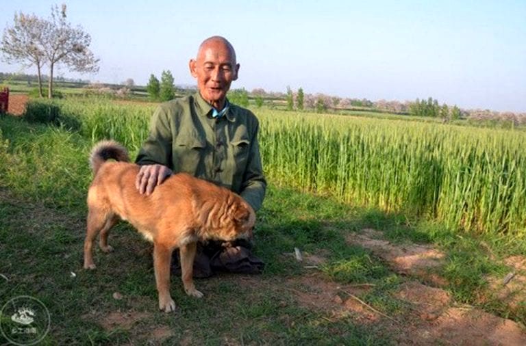 Elderly Farmer Provides For His Family for 40 Years Without Having Legs
