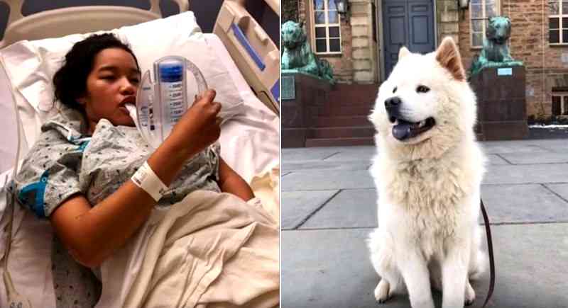 Asian Family Seeks Justice For a Hit and Run That Left Daughter Severely Injured, Puppy Dead