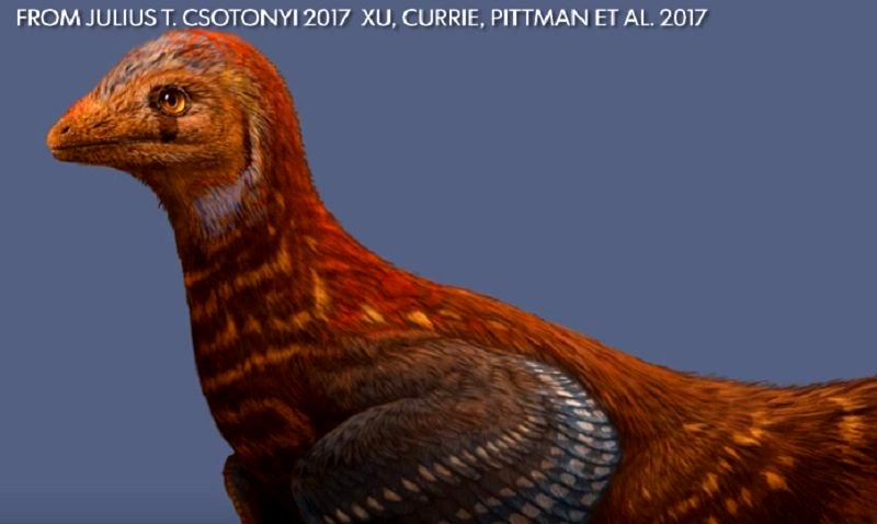 Scientists Discover New Chicken-like Dinosaur in China