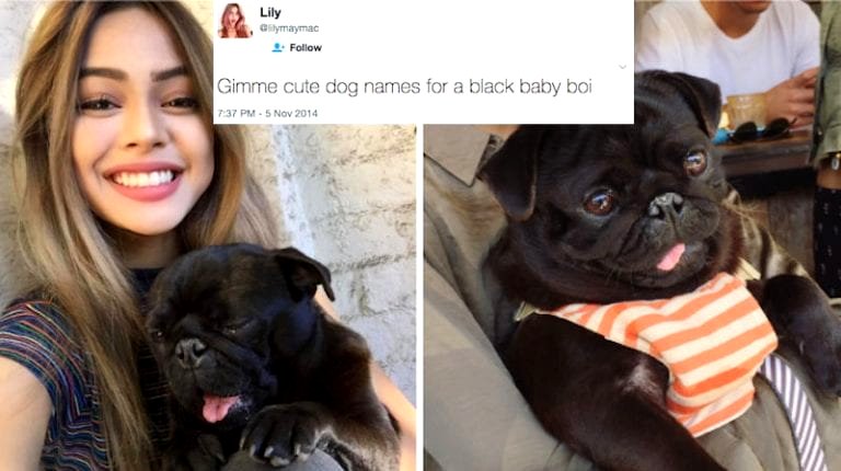 More Old Tweets Resurface Revealing Filipina Model Comparing Black People to Dogs