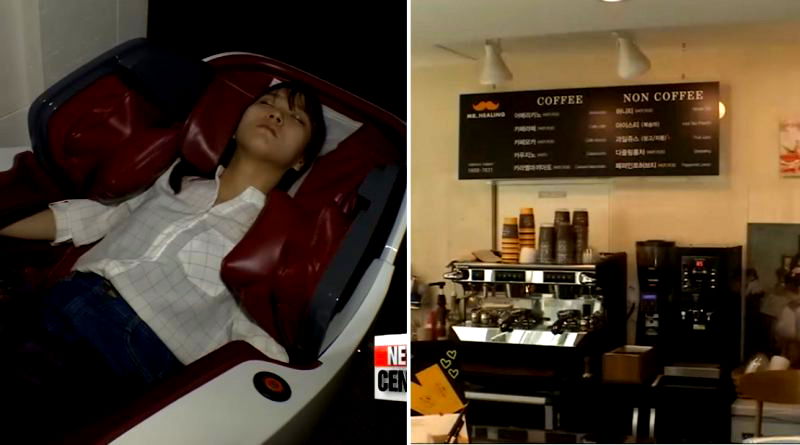Korea Has Incredible ‘Healing’ Cafés That Need to Come to America Immediately