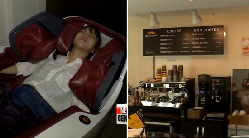 Korea Has Incredible ‘Healing’ Cafés That Need to Come to America Immediately