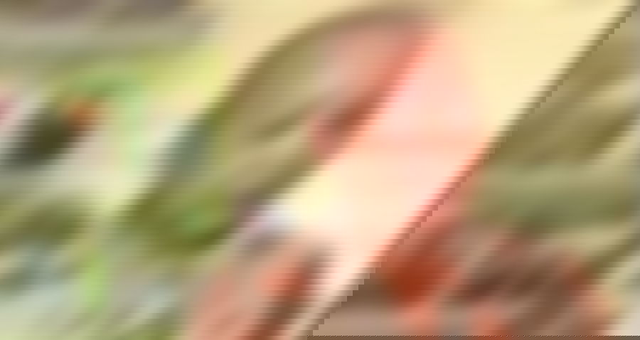 Disturbing Footage Shows Elderly Vietnamese Woman Brutally Carjacked at Home in Houston