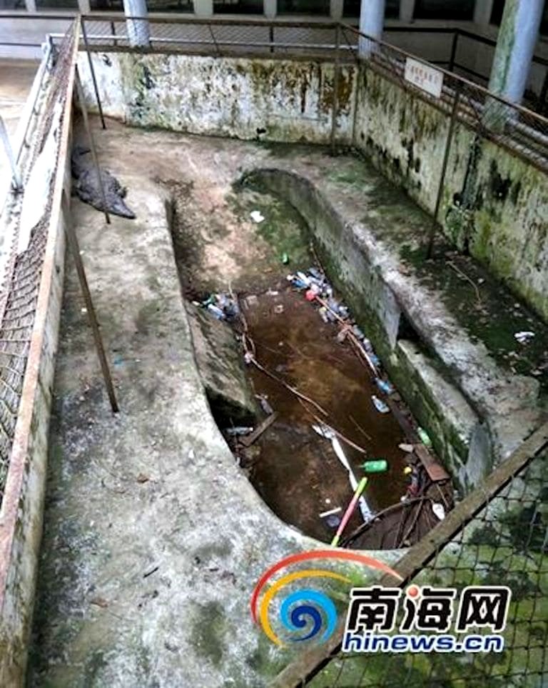 Filthy Zoo in South China is ‘The Worst Hell for Animals’