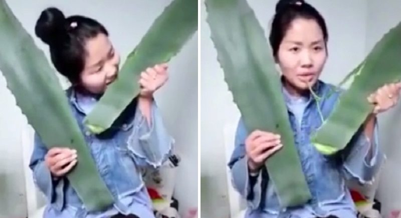 Eating 2024 aloe vera