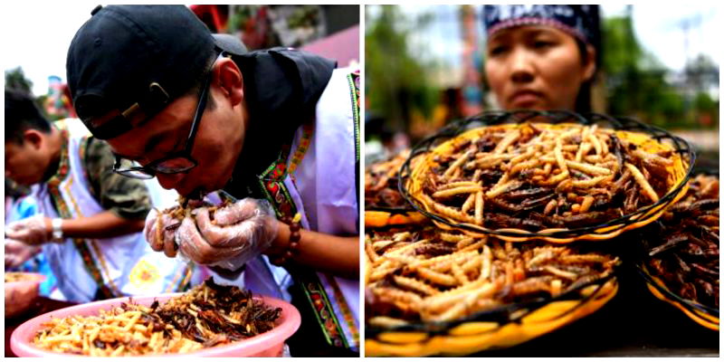 Chinese Man Eats Over 2 Pounds of Fried Insects to Win Gold Bar