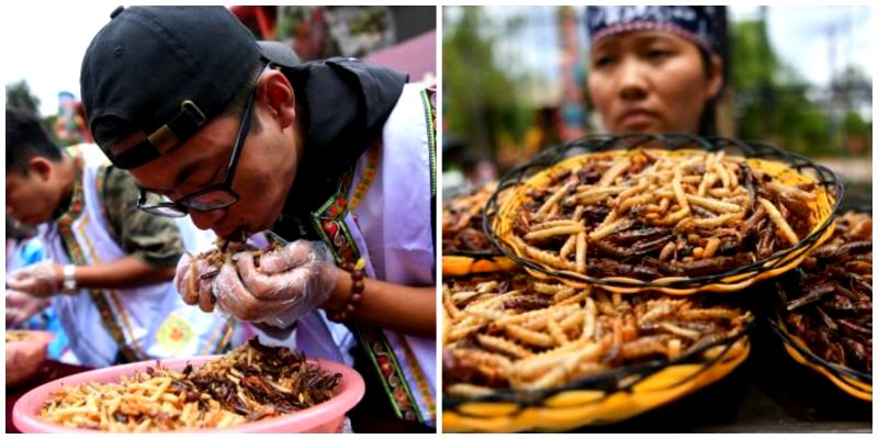 Chinese Man Eats Over 2 Pounds of Fried Insects to Win Gold Bar