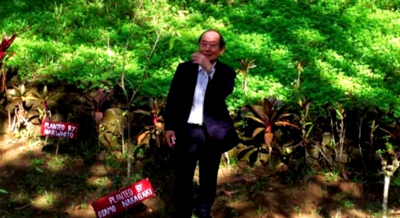 Japanese Man Saves Dying Forest in The Philippines By Eating Thousands of Mangoes in the 1970s