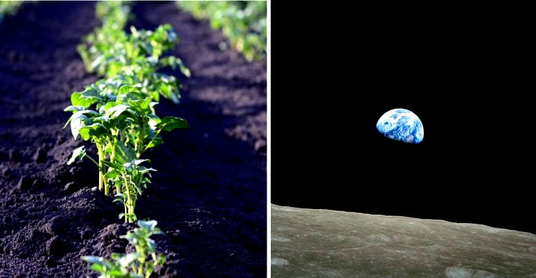 China Will Start Growing Potatoes on the Moon Next Year