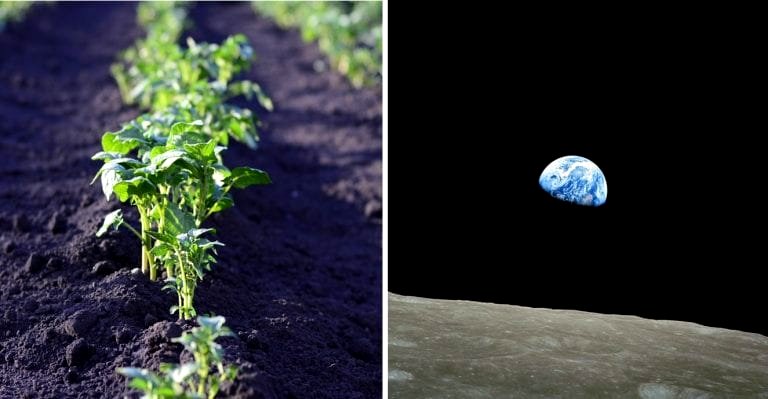 China Will Start Growing Potatoes on the Moon Next Year