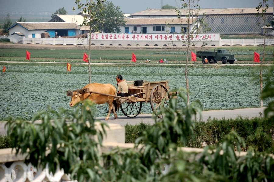 North Korea Battles Drought by Reducing School Hours, Forcing Students to Water Crops