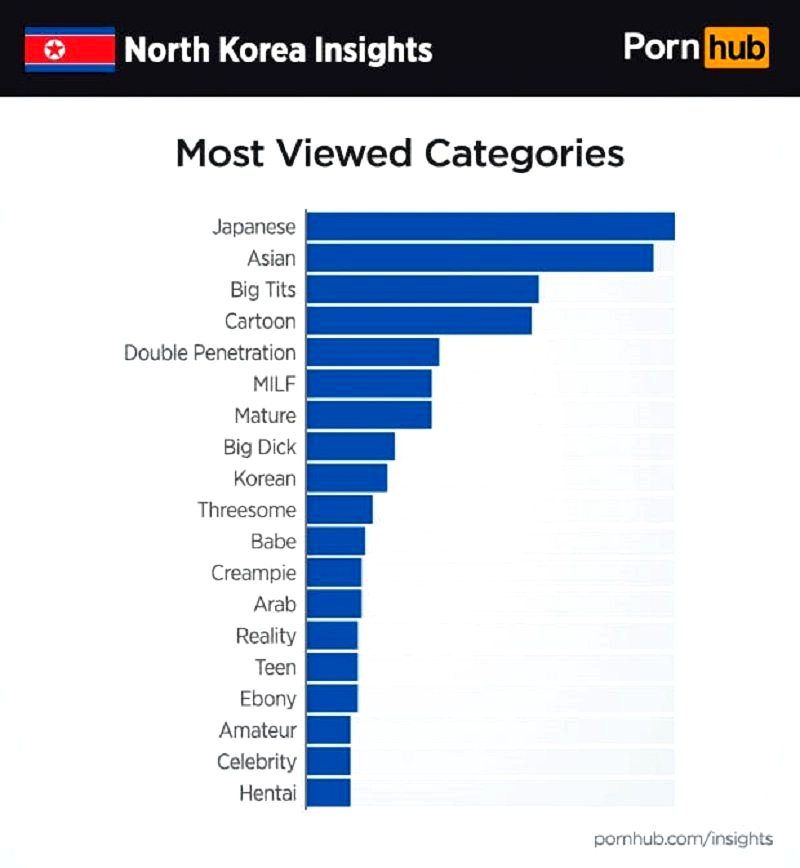 Unique Porn Categories - Pornhub Reveals the Kind of Porn North Koreans Like to Watch
