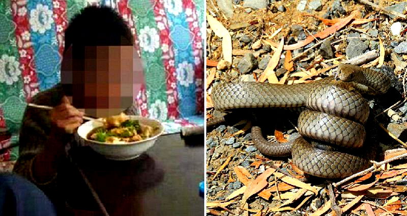 Chinese Boy Survives The Wild By Eating Snakes and Herbs For a Month