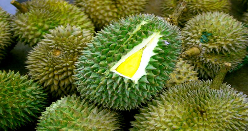 Why Durian Prices are Skyrocketing Throughout Asia