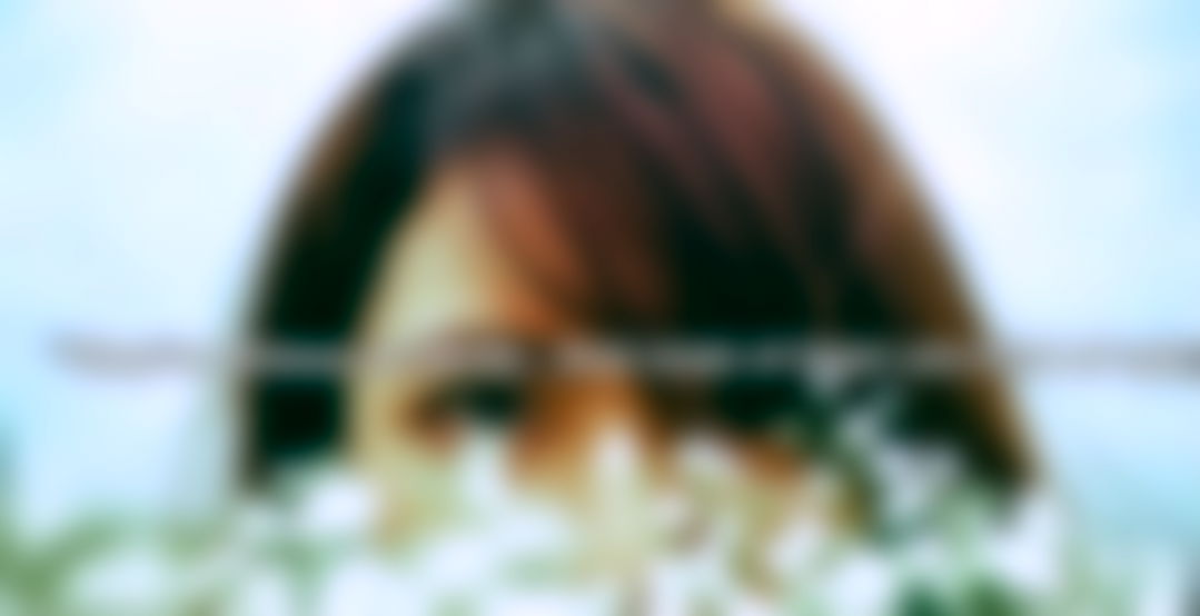 We Need to Talk About the Asian Women Who Hate on Asian Men