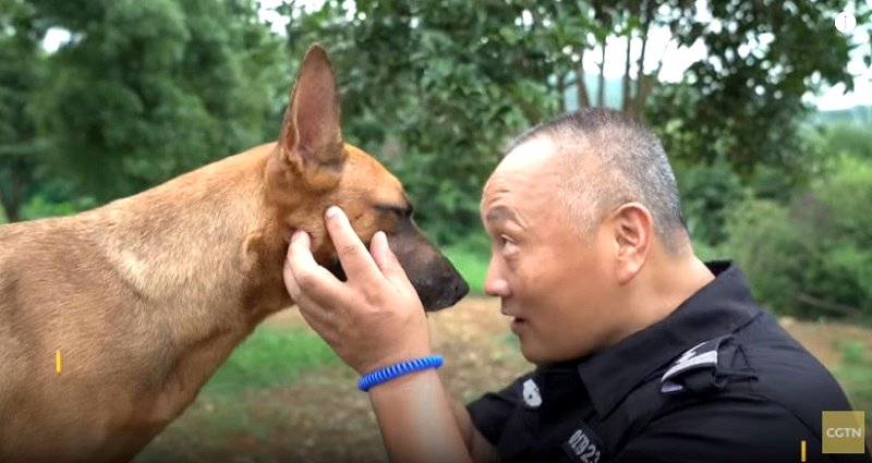 Hero Chinese Cop Goes Viral After Building a Retirement Home for Police Dogs