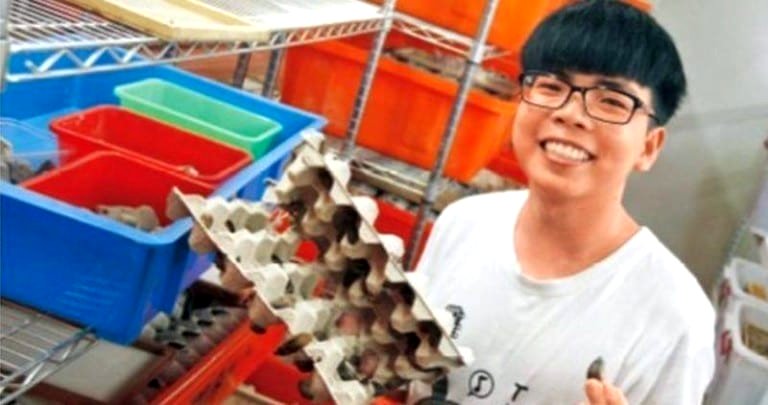 Taiwanese Student Earns Over $6,000 a Month Farming Cockroaches