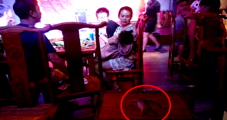 Diners Shocked After Rat Falls From Ceiling and Dies in Shanghai Hot Pot Restaurant