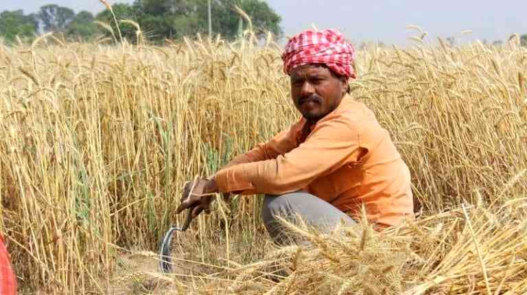 Global Warming Has Caused 60,000 Indian Farmers to Commit Suicide