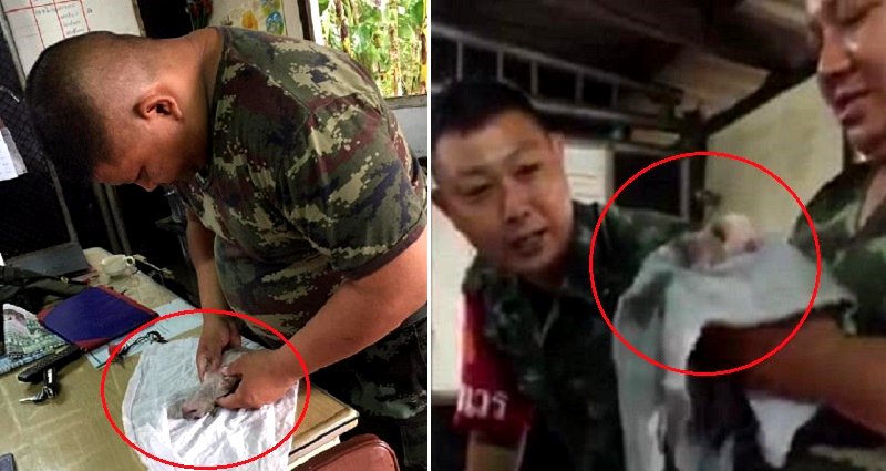 Good-Hearted Thai Soldier Gives Life Back to Drowned Puppy Using CPR