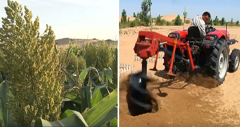 Chinese Scientists Develop Revolutionary Paste That Transforms Desert ...