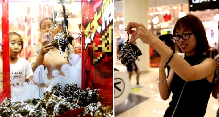 Alibaba Sets Up Claw Machine With Live Crabs at Chinese Mall