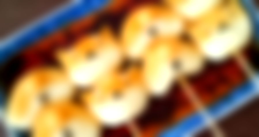 Japanese Netizen Amazes Twitter With Adorable Shiba Buttholes You Can Eat