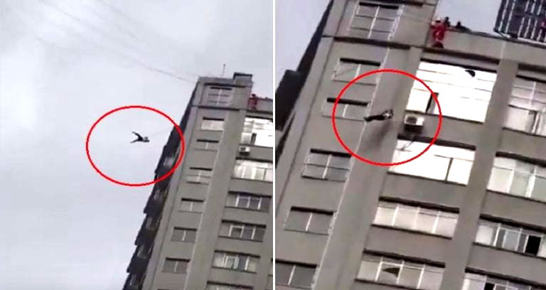 Man Tries to Escape Paying Hotel Bill By Climbing Telephone Wires in China