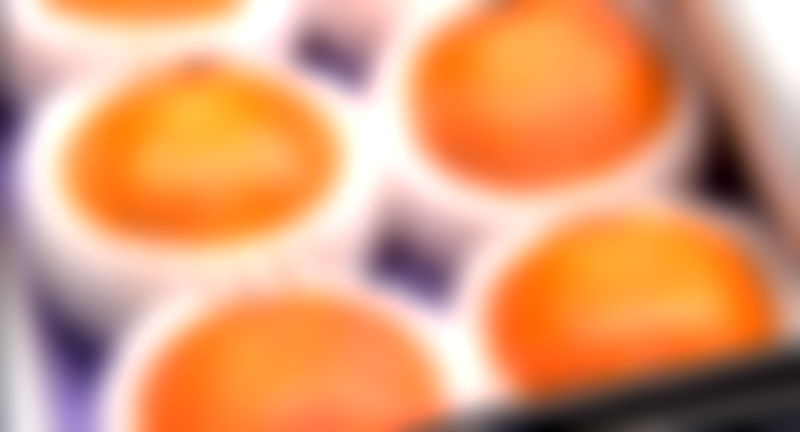 Someone Paid $5,000 For Two Persimmons at a Vegetable Market in Japan