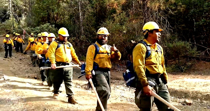 Samoan Firefighters Sing in the Forest to Recover After Battling California Wildfires