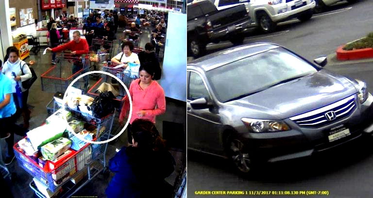 Bay Area Thieves Snatch Purse From Fox Reporter Right in Front of Costco