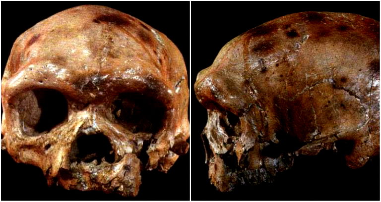 Ancient Skull Found in China Suggests Modern Humans May Have Originated in Asia